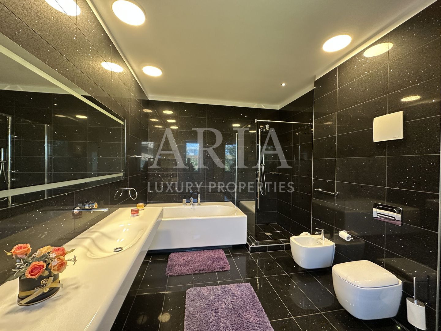 VILA INDIVIDUALA PIPERA Erou Iancu Nicolae - Poză 17