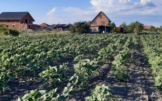 Ag EUROPA vinde 8 ari teren intravilan in Amati cu frontul de 30 metri - Poză 1