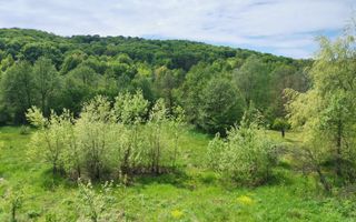 Vanzare casa Cotmeana, stradal - Poză 3