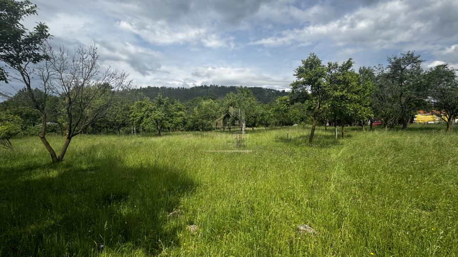 TEREN INTRAVILAN 4600 MP, VOINESTI, LERESTI, ARGEȘ - Poză 1