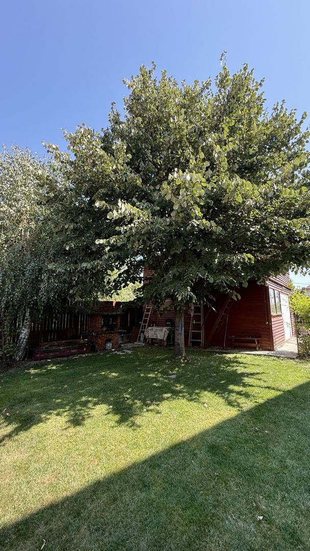 CASA INDIVIDUALA - Poză 15