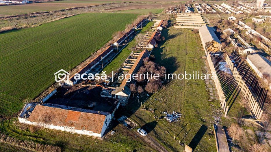 NĂDLAC | Teren 1.15 HA lângă Autostradă | 2.500mp Hale - Poză 5