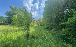 Teren 2037 mp, 17 ml deschidere, 28 euro/m2, vedere panoramica - Poză 6