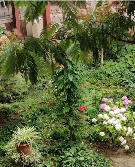 Iosefin-16 Decembrie | 2 Camere | Boxa + Garaj | Mobilat si Utilat. - Poză 16