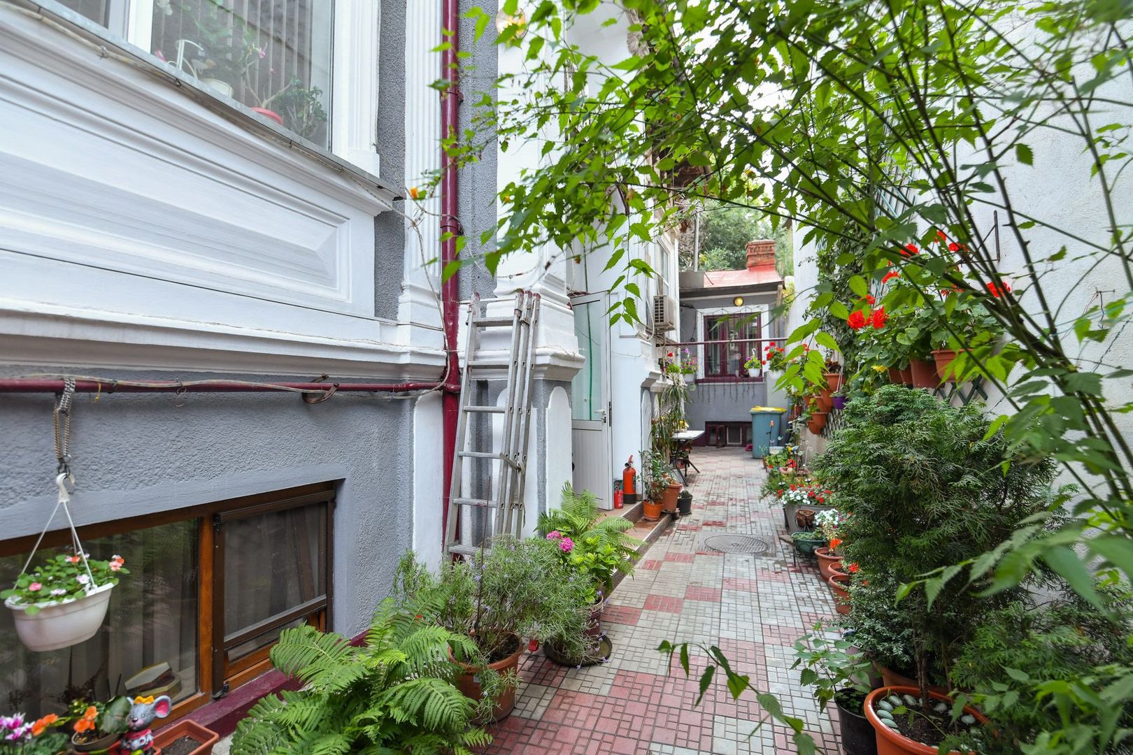 Casa individuală | Strada Plantelor | Curte proprie - Poză 4