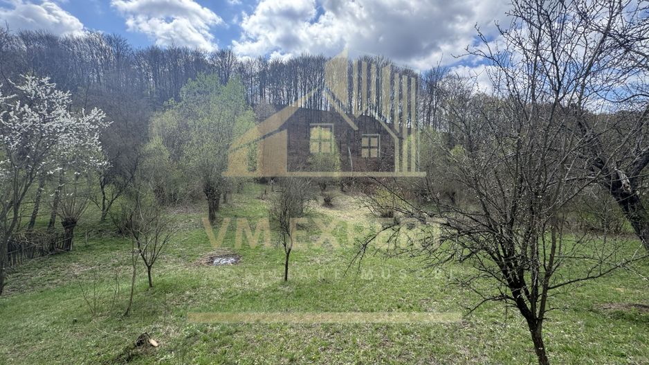 TEREN INTRAVILAN 4365 MP POENARII DE MUȘCEL  JUDEȚUL ARGES - Poză 16