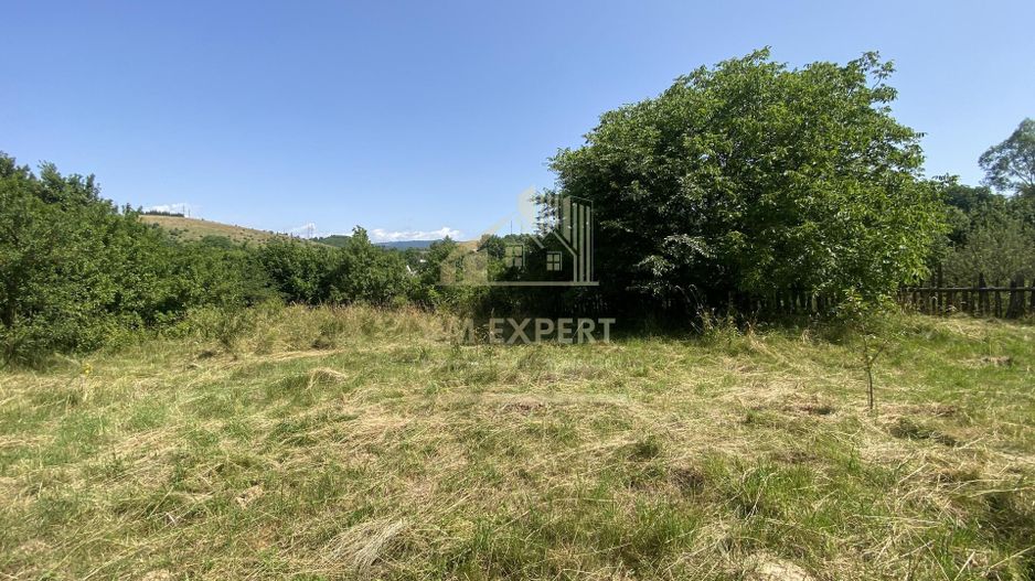 TEREN INTRAVILAN 2400 MP, ALBESTI DE MUSCEL, ARGES - Poză 1