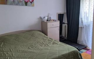 Apartament 3 camere Buziasului - Poză 8