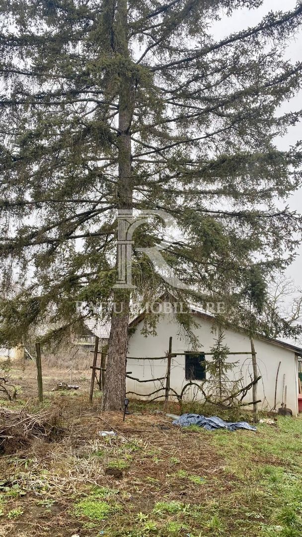 Casă din cărămidă | Teren 2000 mp|Anexe tradiționale | Bojt - Poză 11