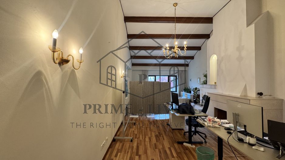 VILA DEOSEBITĂ LA VÂNZARE ÎN ZONA CENTRALĂ APROAPE DE CALEA PLEVNEI - Poză 8