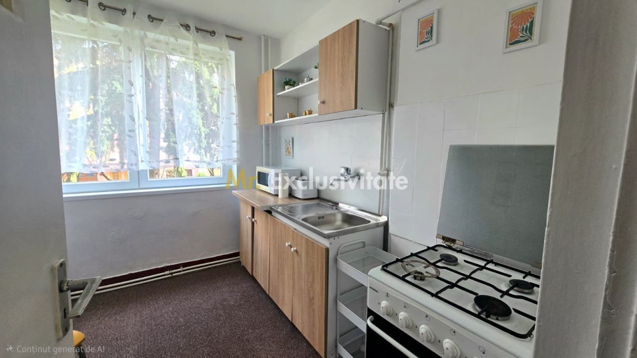 Chirie 2 Camere Satu Mare Central - Poză 2
