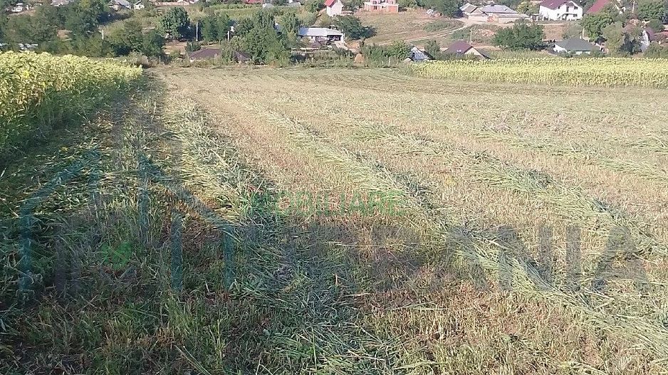 Teren extravilan de vânzare în Vânători, comuna Popricani - Poză 5