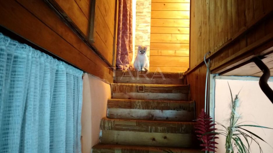 Apartament cu 3 camere de vânzare în zona ultracentrală - Poză 5