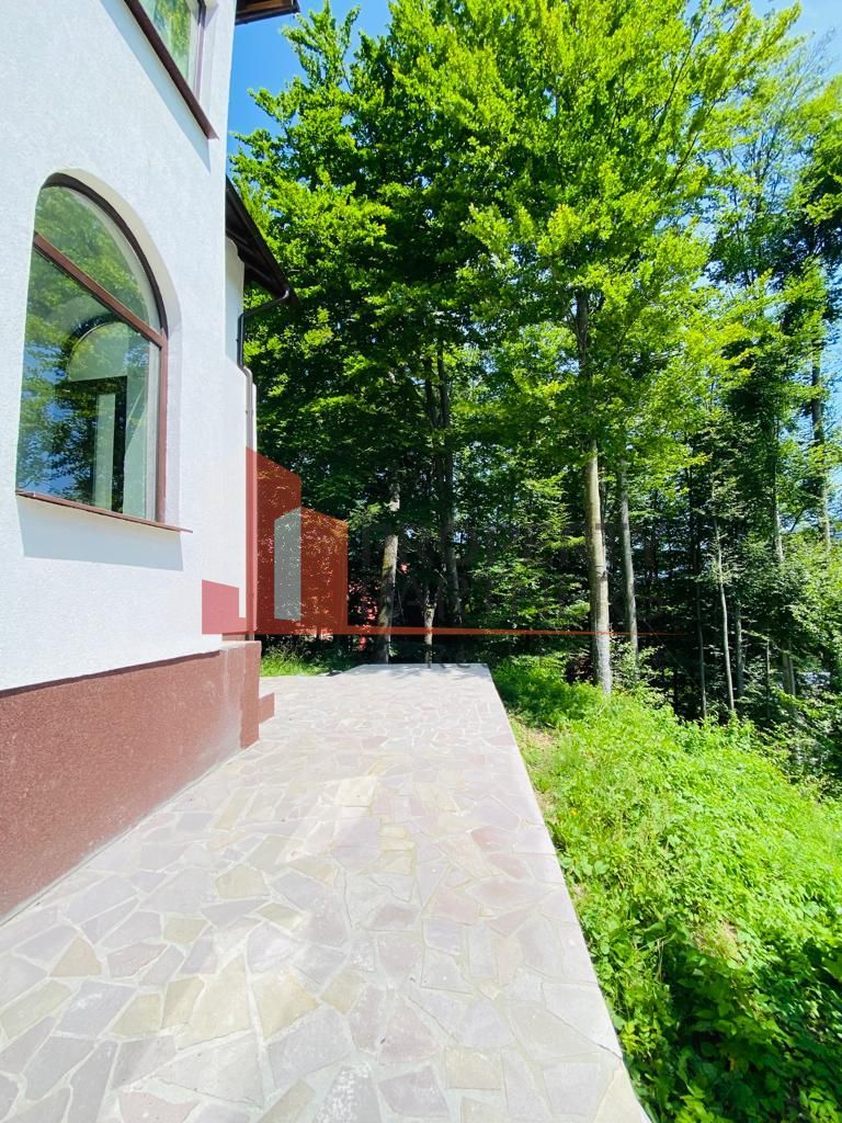 Vila Sinaia - Poză 11