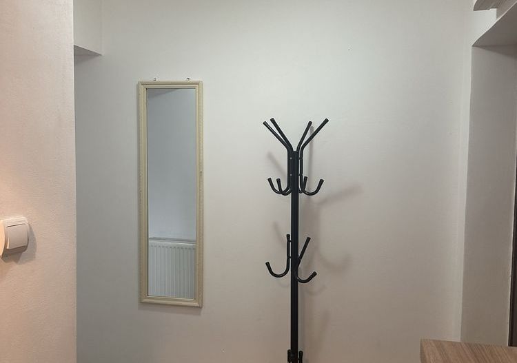 BRASADAS vinde garsoniera RENOVATA la PARTER in Micro 14. - Poză 7