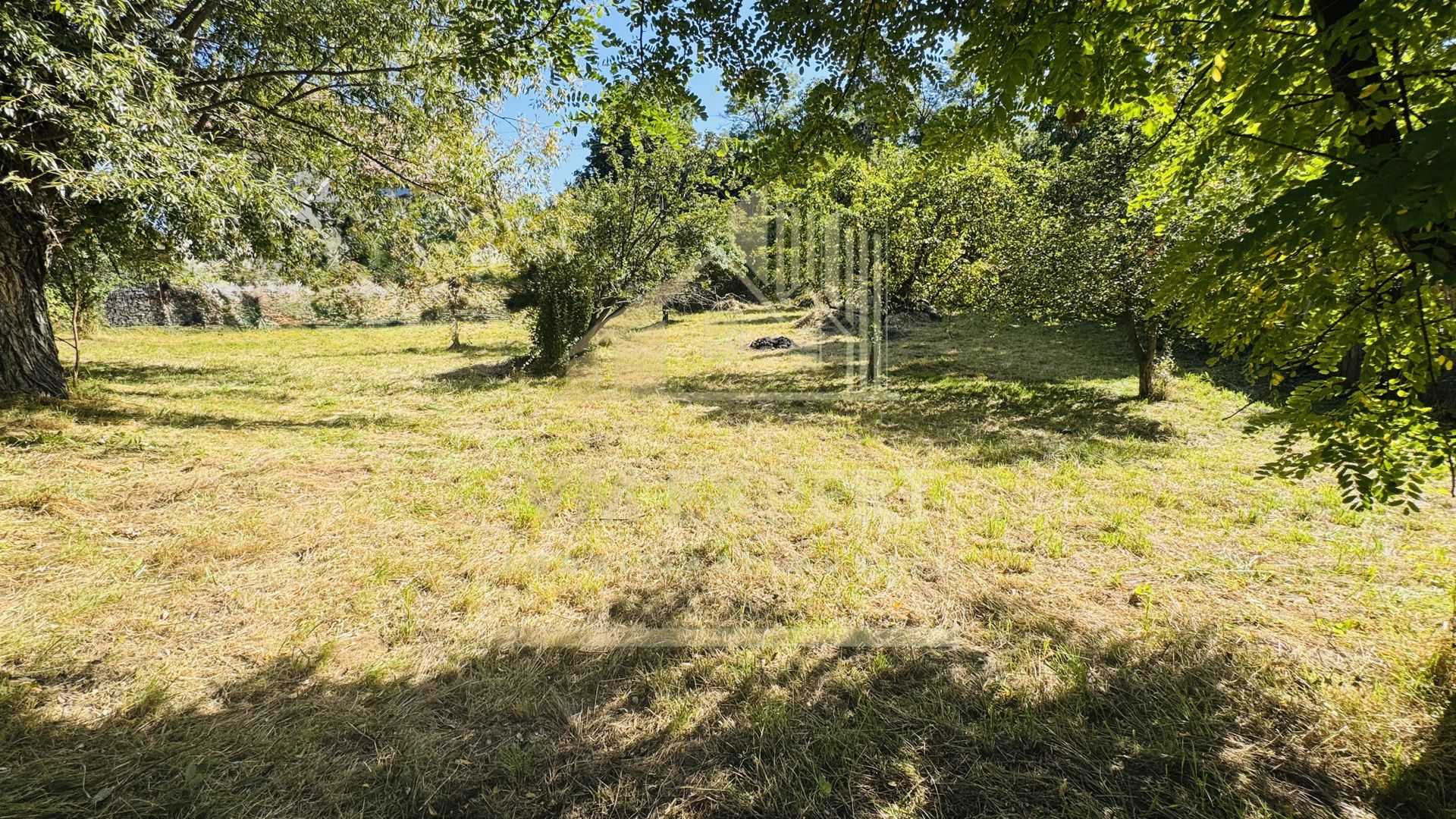 TEREN INTRAVILAN 3234 MP LEREȘTI VOINEȘTI ARGEȘ - Poză 3