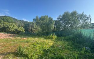 TEREN INTRAVILAN 3296 MP CAMPULUNG ARGEȘ - Poză 11