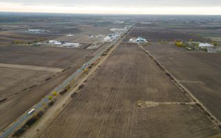 Teren 22.500 mp–Pecica, jud. Arad,Posibilitate PUZ - Poză 3