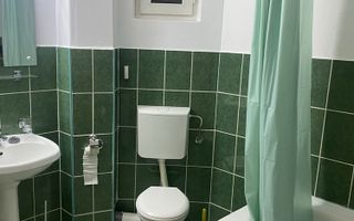 Apartament 2 camere 55 mp balcon 9 mp etaj 1 Petfriendly zona Tilisca - Poză 6