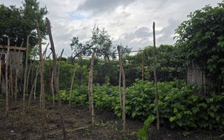 Casa 4 camere I Decomandata I Gradina I Lacul lui Binder - Poză 47