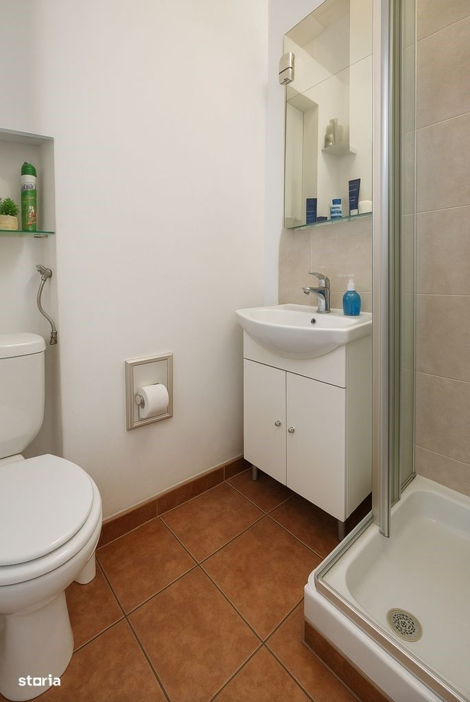 Apartametn 3 camere zona Fizicienilor - Camil Ressu - Poză 8