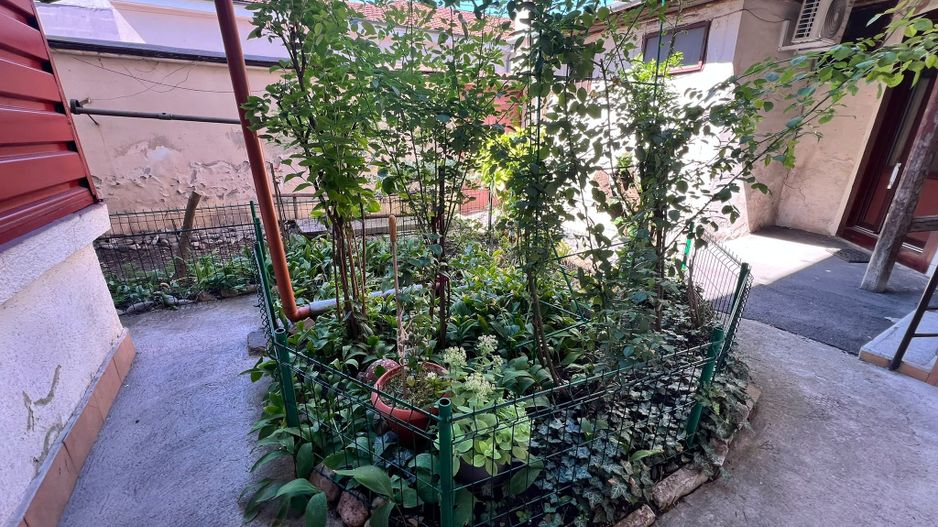 Apartament spatios cu 3 camere | 83 mp + veranda + curte | Ultracentral - Poză 19