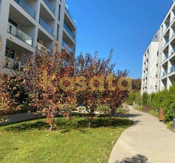 2 camere parter cu gradina | zona Jandarmeriei | - Poză 11