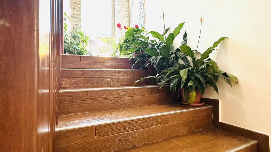 Vila individuala Sacalaz | 5 camere 191 mp, teren 503 mp | Comision 0% - Poză 14