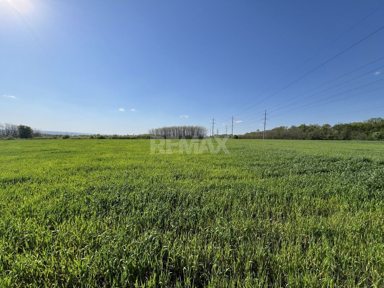 Teren agricol de 24 ari în Ghidighici – aproape de pădure, potrivit pentru investiție sau activitate agricolă - Poză 1