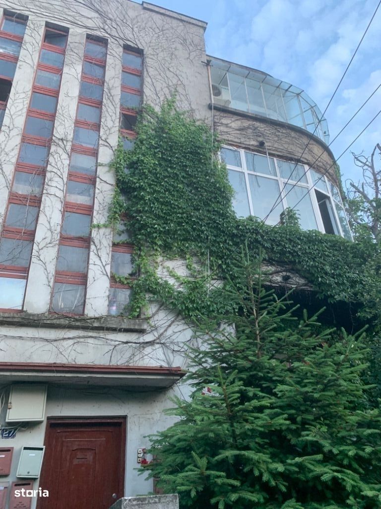 Vila Cotroceni - Poză 3