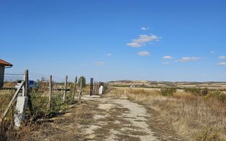 Teren Intravilan Paleu 1025 mp - Poză 1