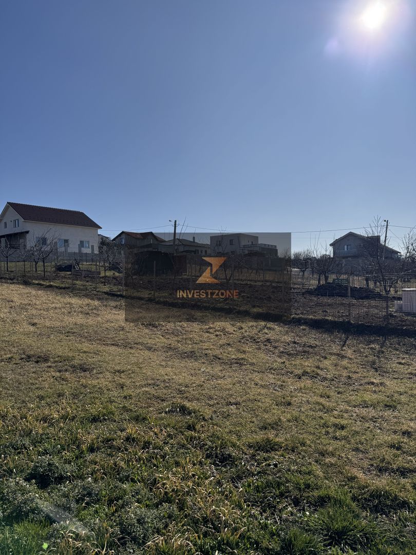 Teren intravilan Săldăbagiu De Munte - Poză 8