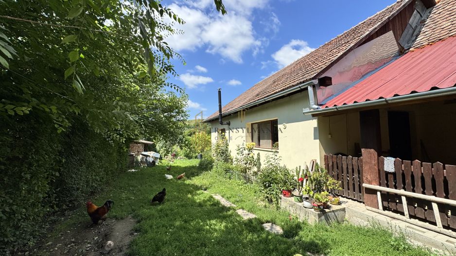 Casă la țară cu teren generos în satul Ruși - Poză 5