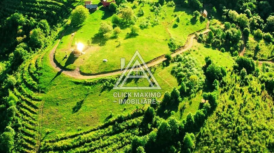 CASĂ și TEREN 85.000 mp – Casa părintească Părintele Arsenie Boca - Poză 3