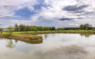 AFACERE FUNCTIONALA - MOTEL, PARCARE TIRURI, CAMPING cu piscina si lacuri - Poză 11