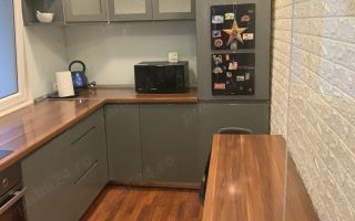 APARTAMENT LUMINOS RENOVAT LUX ZONA TINERETULUI - Poză 7