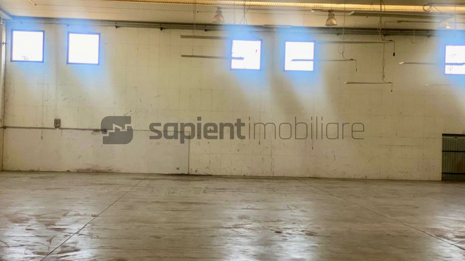 Sapient | Hală situata în com. Borș - Poză 14