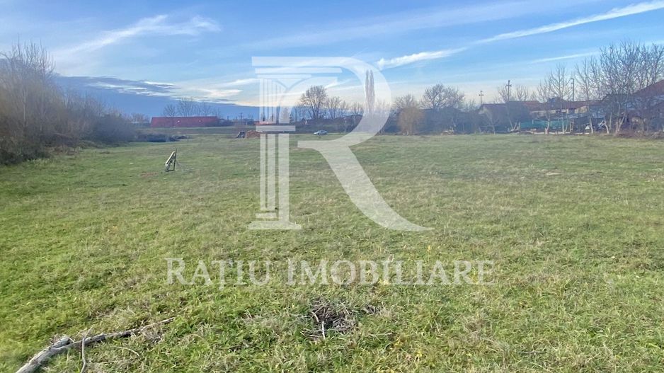 EXCLUSIV | TEREN INTRAVILAN | INVESTIȚIE | BEIUȘ – STR. PLOPILOR | 13.500 MP - Poză 5