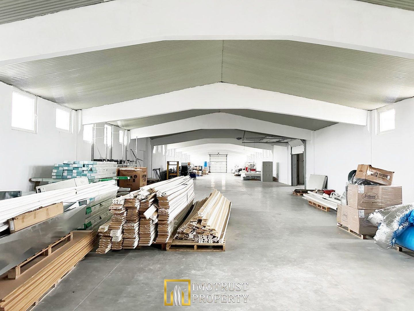 HALA INDUSTRIALA DE INCHIRIAT | PECICA – ARAD - Poză 3