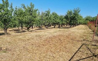 1600 mp teren in Barnova sat Pietrarie pe deal deasupra Primariei. - Poză 2