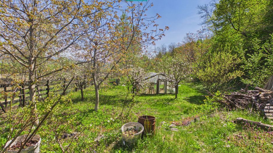 Casă Câmpani, 8000 mp teren, la poalele Apusenilor - Poză 23