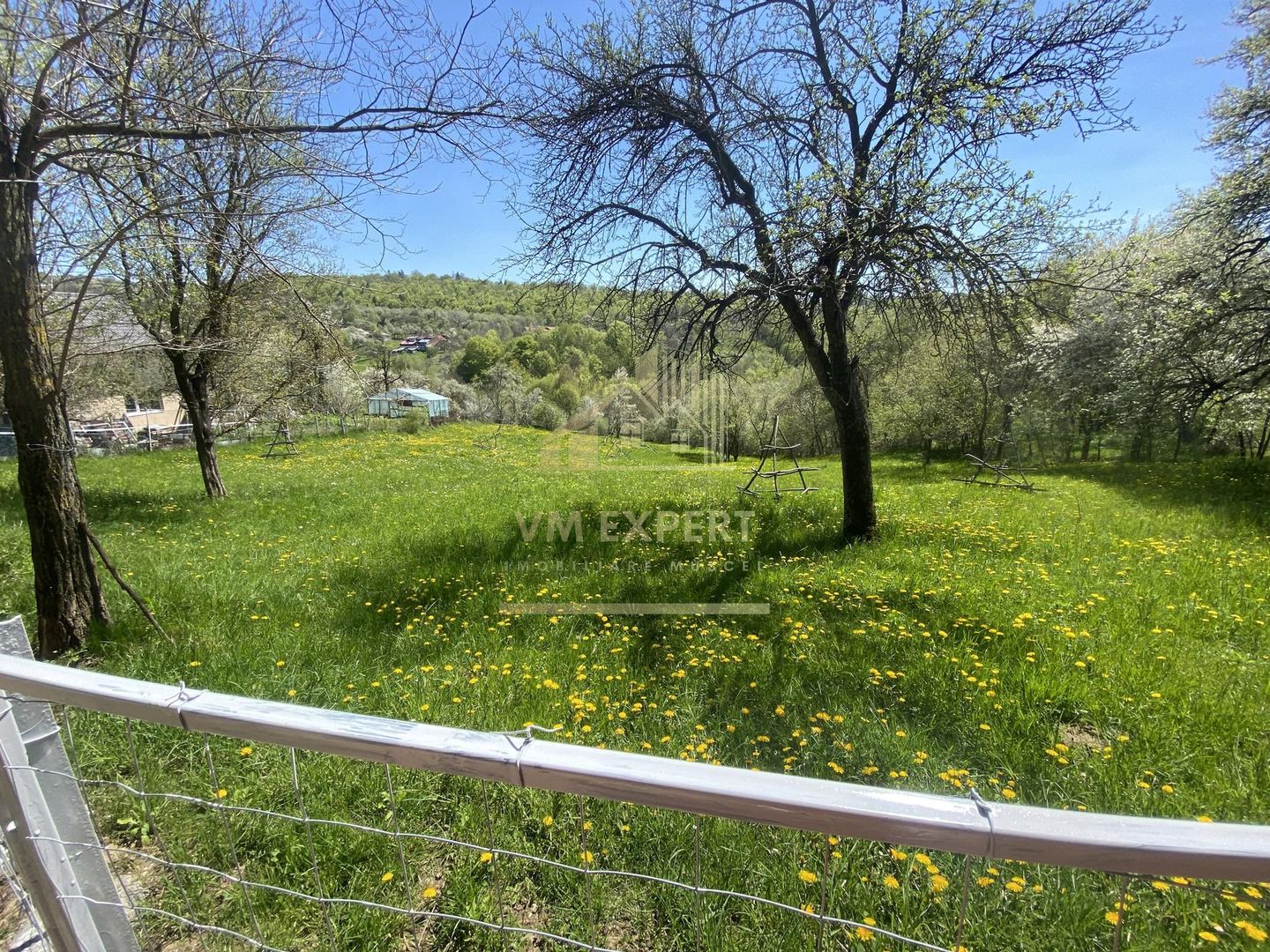 TEREN INTRAVILAN 3265 MP, VALEA MARE PRAVAT, ARGES - Poză 2