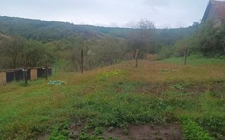 2 Case 100 mp -teren 3576mp-livada-garaj-Enciu 37 km de Bistrita - Poză 7