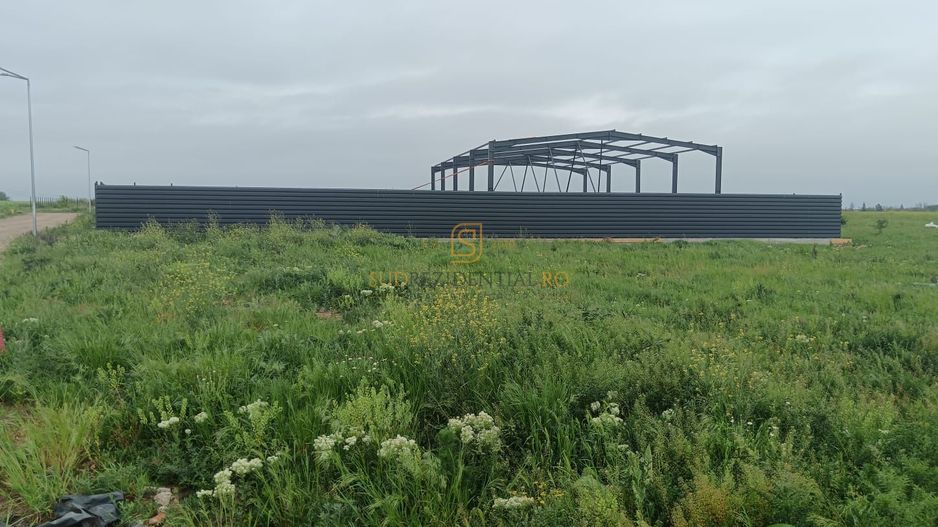 Lot de teren in Frumusani, Ilfov, 590 mp, posibilitate rate - Poză 7