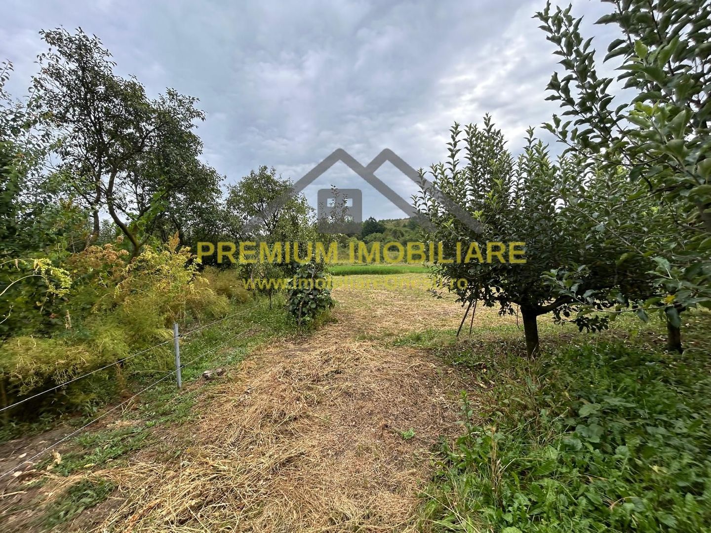 Proprietate de vânzare | 15 km de Onești, DN11 – direcția Bacău - Poză 8