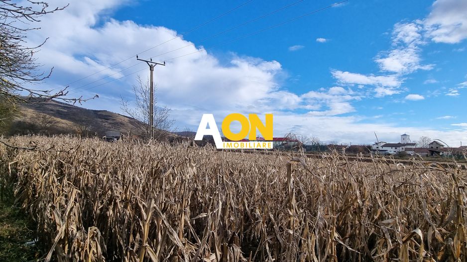 De vanzare 1929mp teren intravilan cu utilitati, Sard - Poză 4