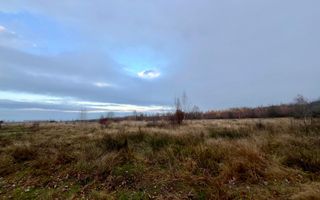 Teren extravilan 6.500 mp – două căi de acces, Cârțișoara - Poză 4