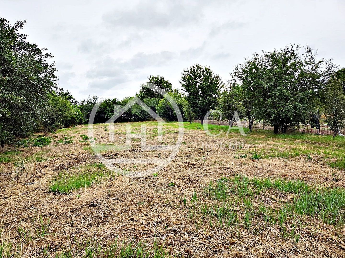 Casa de vanzare cu 4 camere si teren de 1520 in satul Batar, Bihor - Poză 6