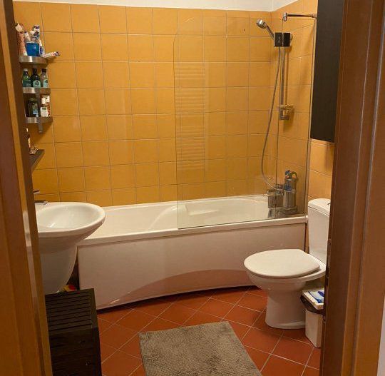 Apartament 3 camere Stefan cel Mare | Central Park - Poză 11