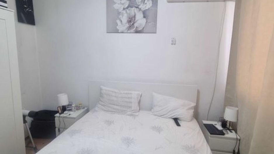 APARTAMENT 1 MAI | ION MIHALACHE | DOMENII - Poză 3